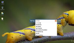 Bing Desktop