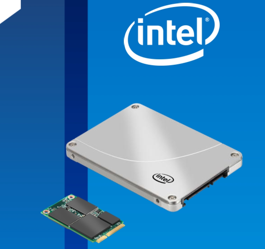 Intel SSD 313 series