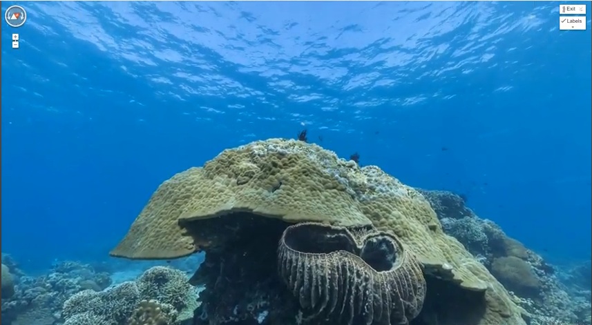 You are currently viewing Το Google Street View γίνεται υποβρύχιο [VIDEO]