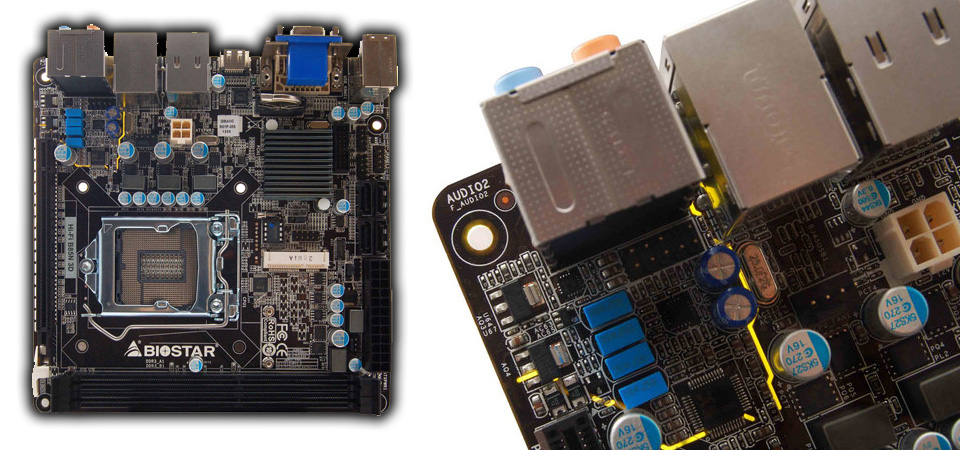 BioS3DSSF960